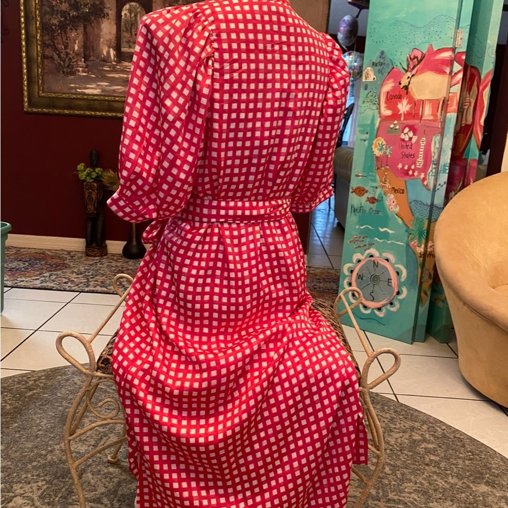 Ann Taylor Red and White Gingham Dress - Picture 5 of 6